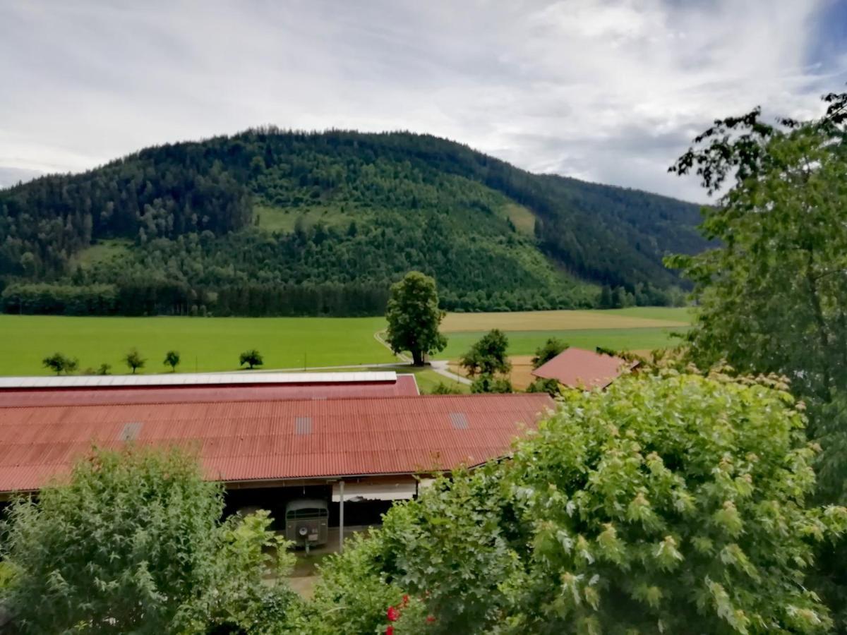 Ferienwohnung Erni Feldkirchen in Kärnten Eksteriør bilde